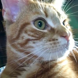 Meet your Posher, Cassie